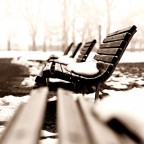 una mattina d'inverno al parco Forlanini a Milano...