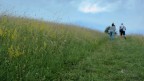 The Hill The Hill