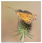 Punto di vista diverso...