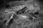 Del passaggio dell'uomo... Del passaggio dell'uomo...