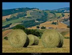 dolce "rotolare"