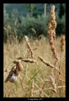 aggrappate..non mollano