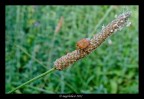 in pendenza a 45�