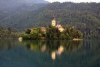 bled
