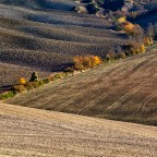 Terre di Siena