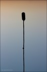 On Air On Air