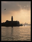 venezia venezia