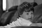 david_2 david_2