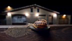 .....slowly in the night .....slowly in the night