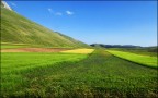 A Green Valley A Green Valley