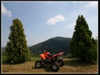 --- Quad --- --- Quad ---