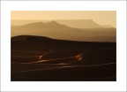 la sinuosità del deserto la sinuosità del deserto