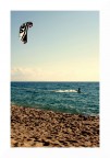 "Surf" "Surf"