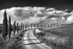 Il Viale Il Viale