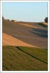 La luce calda della sera... La luce calda della sera...
