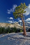 Tenacia (Yosemite NP)