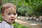 Gabriel_1 Gabriel_1