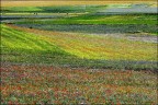 De Colores De Colores