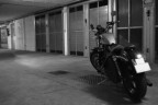 La mia moto: XLH 883 La mia moto: XLH 883