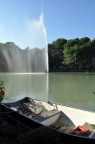 una piccola barca nella pineta una piccola barca nella pineta