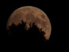 Luna Crescente Luna Crescente
