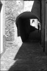 IMG_4427 IMG_4427