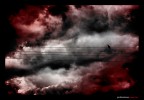 Disastro ambientale Disastro ambientale