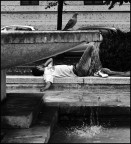 IMG_4850