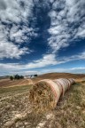 Il sigaro ( il fumo nuoce...) Il sigaro ( il fumo nuoce...)