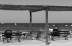 al mare un po' di cultura