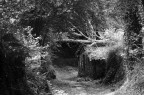 casa nel bosco casa nel bosco