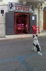 Vorrei ma non posso Vorrei ma non posso