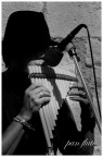 pan flute pan flute