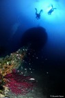 La nave dei corani La nave dei corani