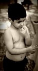 piccoli palumbo... piccoli palumbo...