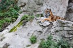Una giornata al Bioparco Una giornata al Bioparco