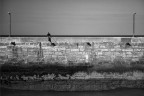 Il Pescatore Il Pescatore