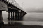 Pontile Pontile