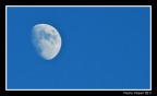 La luna... La luna...