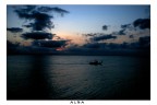 Alba Alba
