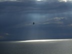 Sprazzi di luce Sprazzi di luce