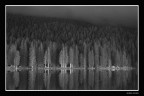 Lago di Misurina... rivisitato Lago di Misurina... rivisitato
