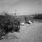 scansione pellicola tri-x 
rolleiflex 3,5F