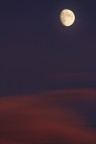 alba lunare alba lunare
