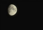 Fuji S100FS
f 5.3
sec 1/40
iso 100
15x  (400mm)