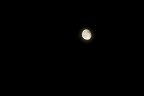 Luna... Luna...