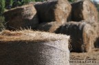 Rotoballe Rotoballe