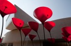 MAXXI papaveri