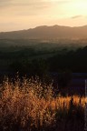 Toscana Toscana