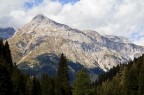 teurihorn teurihorn